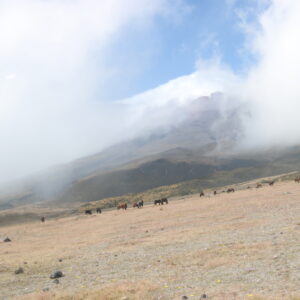 img 4513
